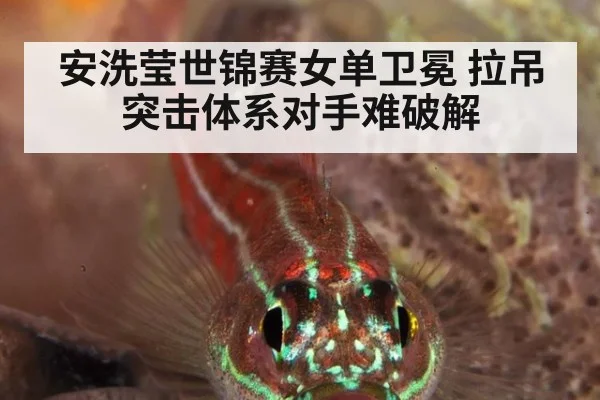 安洗莹世锦赛女单卫冕 拉吊突击体系对手难破解